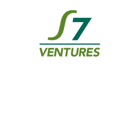 venture capitalist